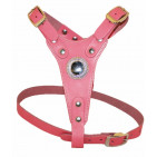 310-PINK